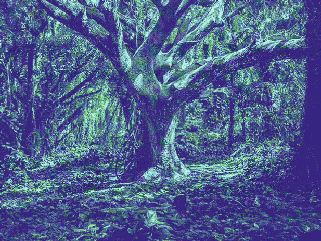 omori vast forest battle background